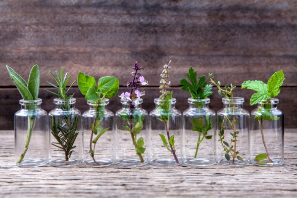 Как растительные ингредиенты могут разнообразить портфолио ваших продуктов