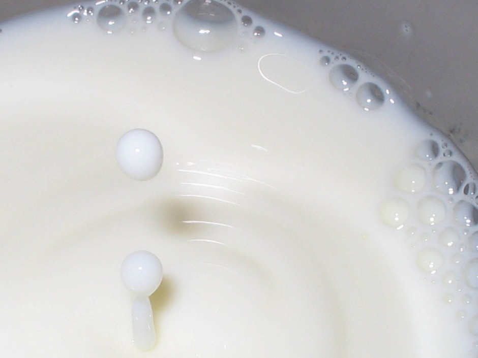 «Униконс Лакто» для молочных продуктов